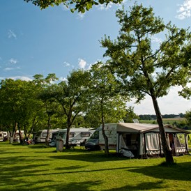 Campingplatz: Frühsommer am Camping Schwanenplatz - Camping Schwanenplatz