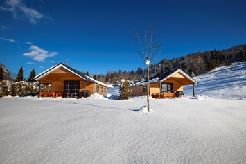 Campingplatz: Alpen-Chalet als gemütliches Winterdomizil - Camping-Resort Allweglehen