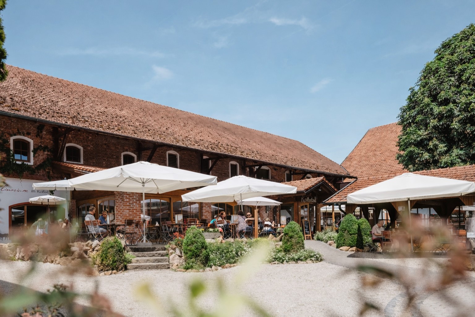 Campingplatz: Terrasse - Kur-Gutshof-Camping Arterhof