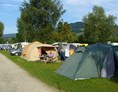 Campingplatz: Auch für unsere Zeltliebhaber haben wir Plätze. Sie finden bei uns keine große Zeltwiese, sondern parzelierte Zeltplätze für Ihr Zelt mit Auto.  - Camping Zeh am See/ Allgäu