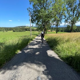 Campingplatz: Es gibt viele schöne Radstrecken im ganzen Allgäu, Sie können direkt vom Campingplatz aus starten.   - Camping Zeh am See/ Allgäu