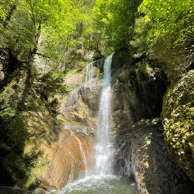 Campingplatz: Unser Dorf Niedersonthofen hat einen eigenen wunderschönen Wasserfall. Sie können direkt vom Campingplatz aus dorthin wandern.  - Camping Zeh am See/ Allgäu
