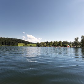 Campingplatz: Unser schöner Badeplatz am Niedersonthofener See, nur ein Katzensprung vom Campingplatz entfernt.   - Camping Zeh am See/ Allgäu