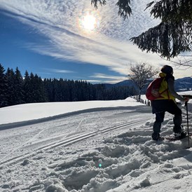Campingplatz: Für Wintergenießer bietet das Allgäu allerhand Möglichkeiten wie z.B. Schneeschuhwandern. - Camping Zeh am See/ Allgäu