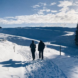 Campingplatz: Winterwandern und die schönen verschneiten Aussichten genießen.  - Camping Zeh am See/ Allgäu