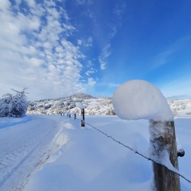Campingplatz: Verschneite Aussichten. Die Einfahrt zum Campingplatz mit Aussicht auf den Stoffelberg.  - Camping Zeh am See/ Allgäu