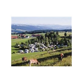 Campingplatz: Camping Alpenblick