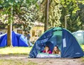 Campingplatz: Gruppen mit Zelt finden auf unserer Zeltwiese Platz. - Camping Waldsee 