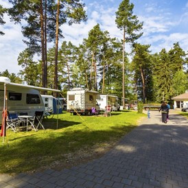 Campingplatz: Für Wohnmobile, Wohnwagen, Campingbusse und Zelte bieten wir Komfort- und Standardstellplätze an. - Camping Waldsee 