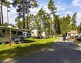 Campingplatz: Für Wohnmobile, Wohnwagen, Campingbusse und Zelte bieten wir Komfort- und Standardstellplätze an. - Camping Waldsee 