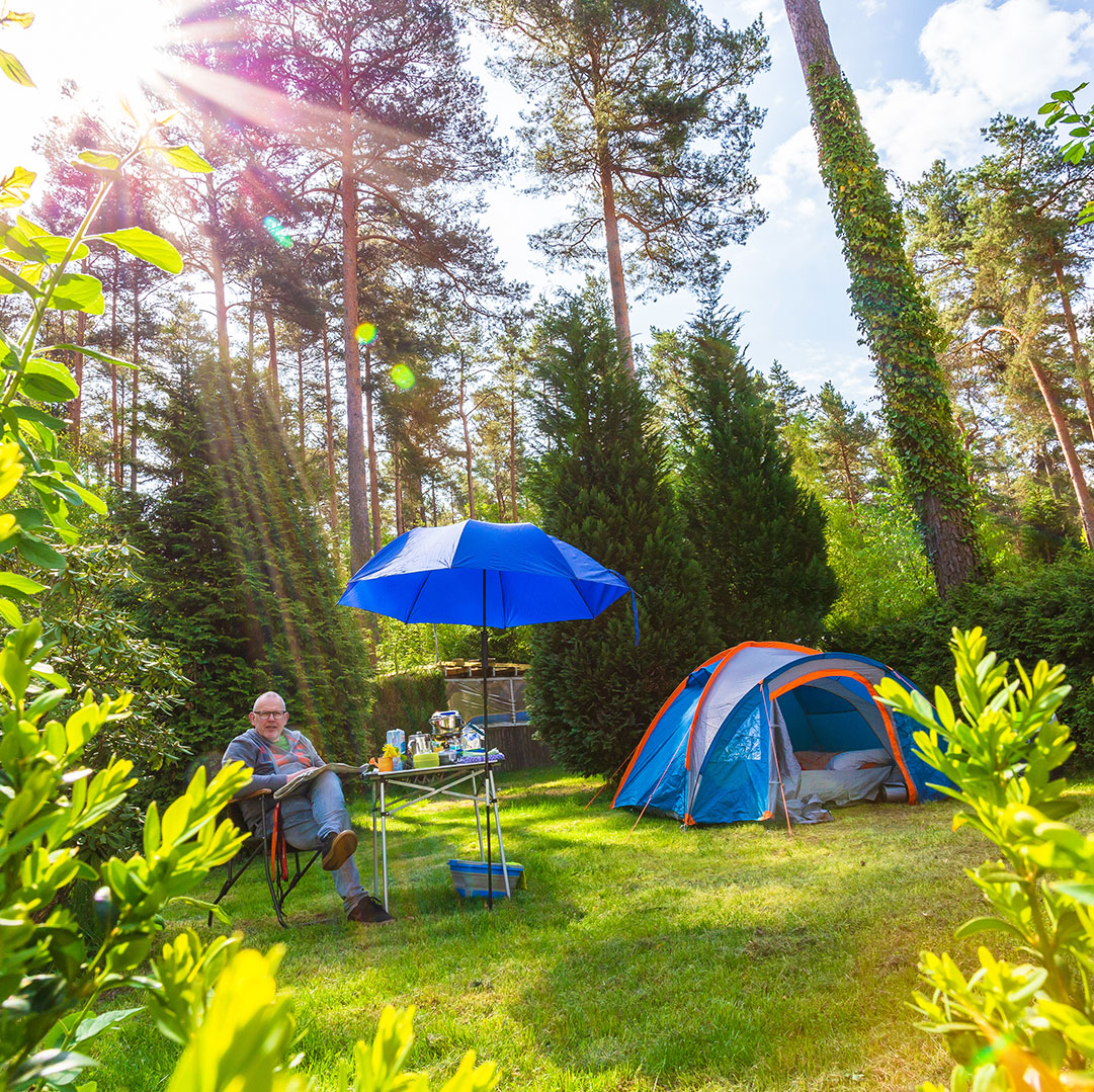 Campingplatz: Camping Waldsee