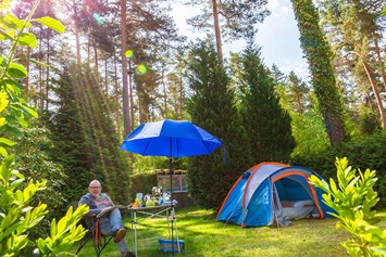 Campingplatz: Camping Waldsee 