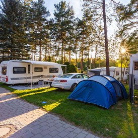 Campingplatz: Camping Waldsee 