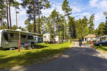 Campingplatz: Für Wohnmobile, Wohnwagen, Campingbusse und Zelte bieten wir Komfort- und Standardstellplätze an. - Camping Waldsee GmbH & Co. KG