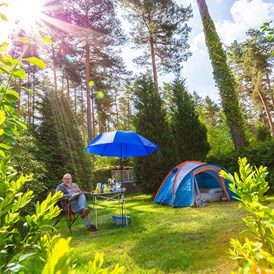 Campingplatz: Camping Waldsee GmbH & Co. KG