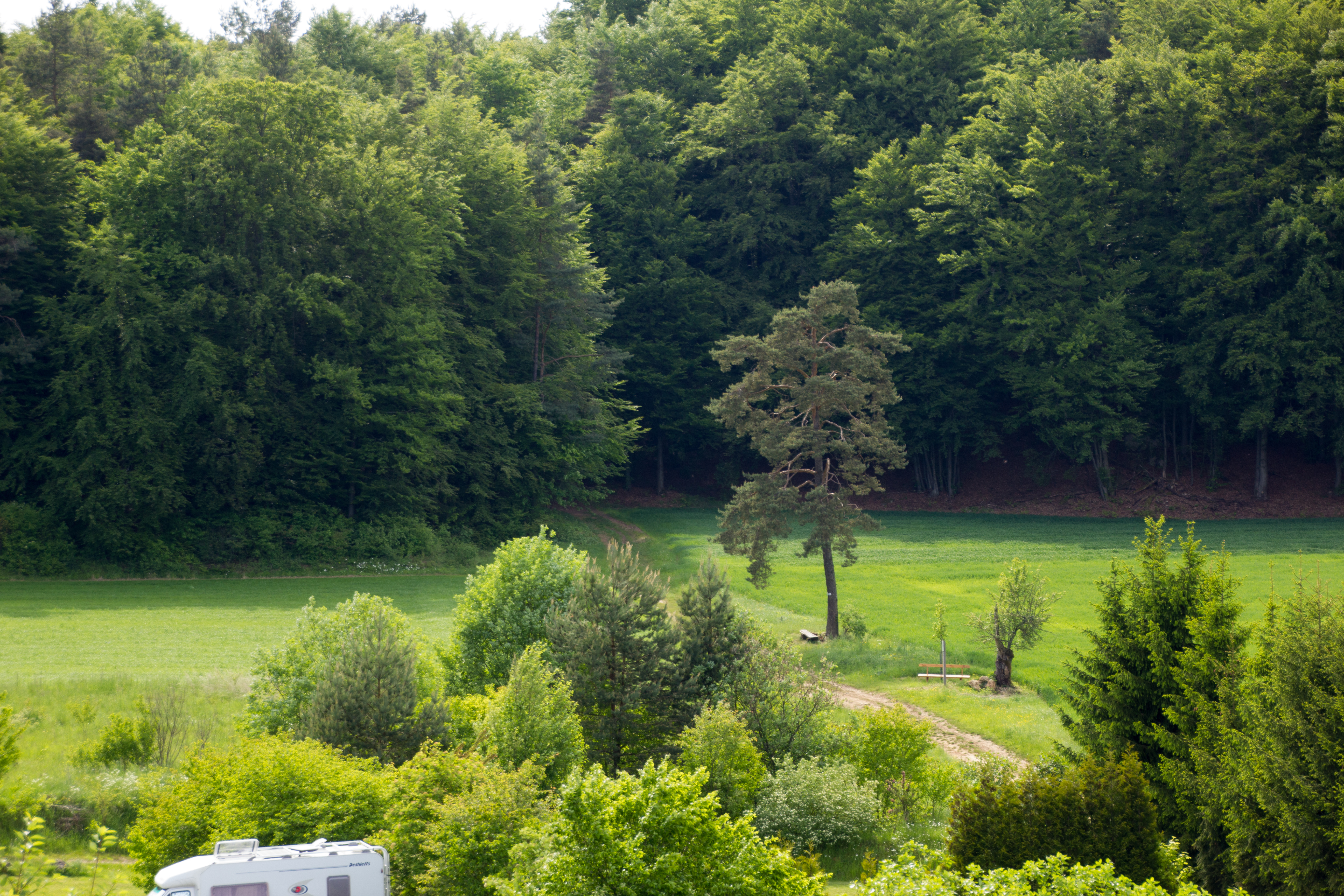 Campingplatz: Campingplatz Betzenstein