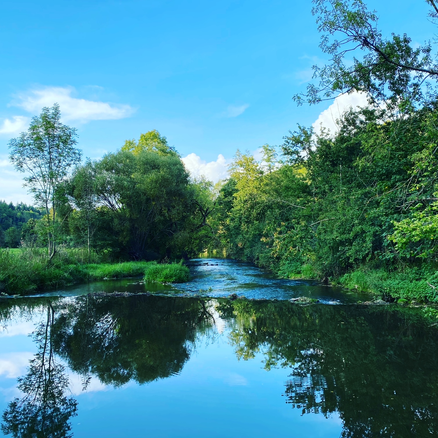Campingplatz: Tauber, hinter dem Campingplatz Tauberromantik - Camping Tauberromantik