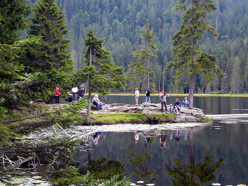 Campingplatz: Ferienhof Schiermeier