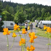 Campingplatz - Campingplatz Fichtelsee