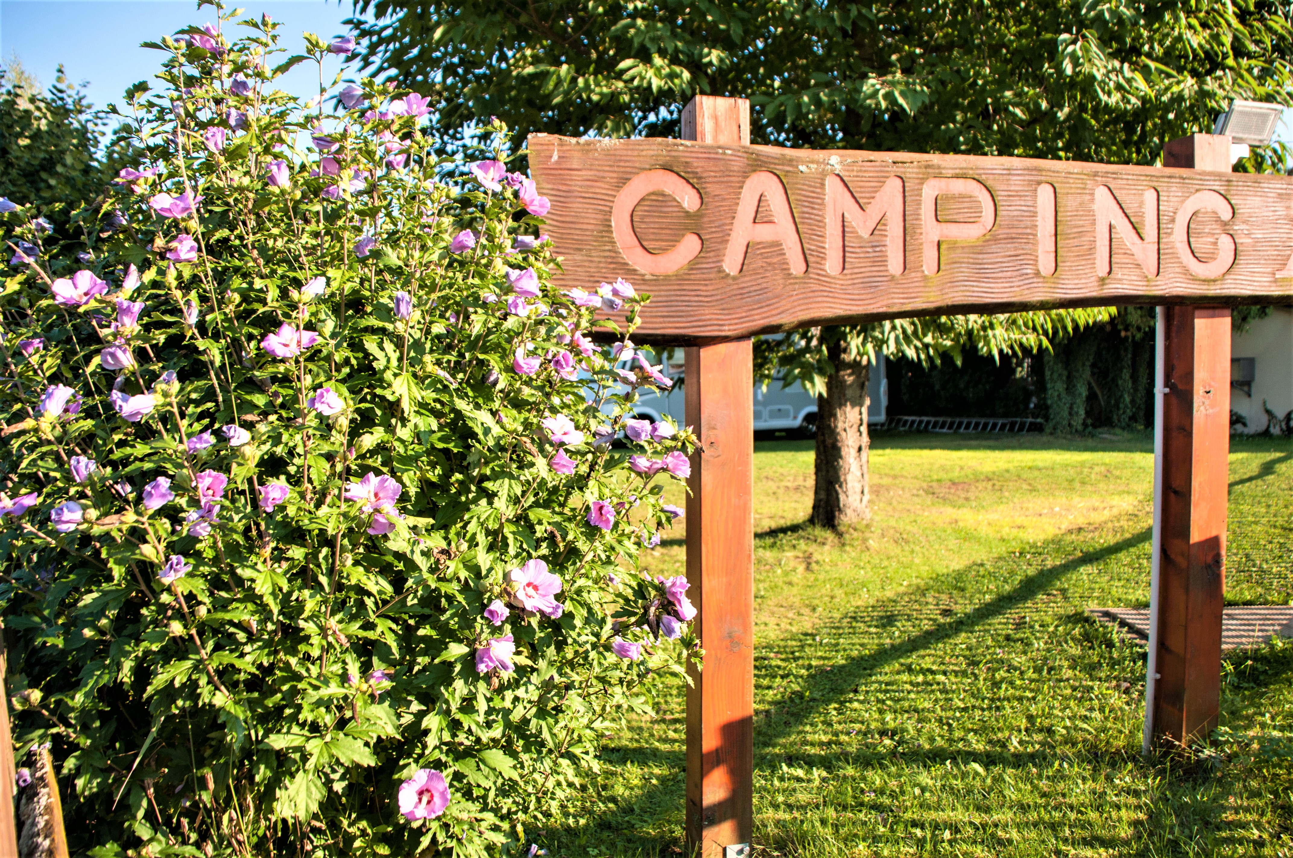 Campingplatz: Campingplatz Mainschleife Escherndorf