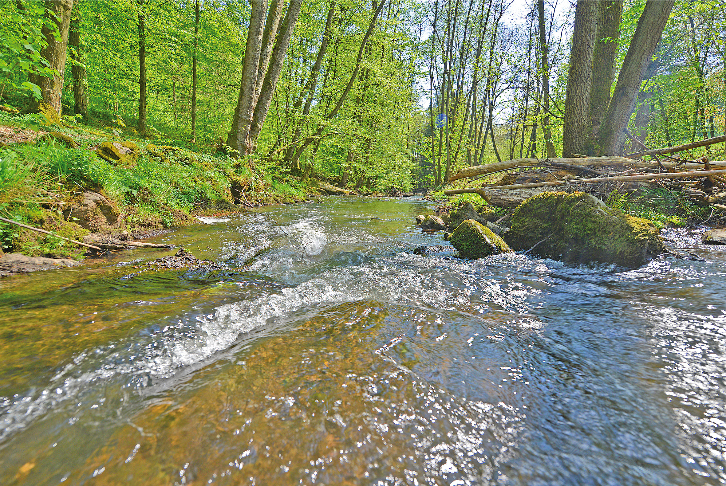 Campingplatz: Camping - und Reisemobilstellplatz Thulbatal