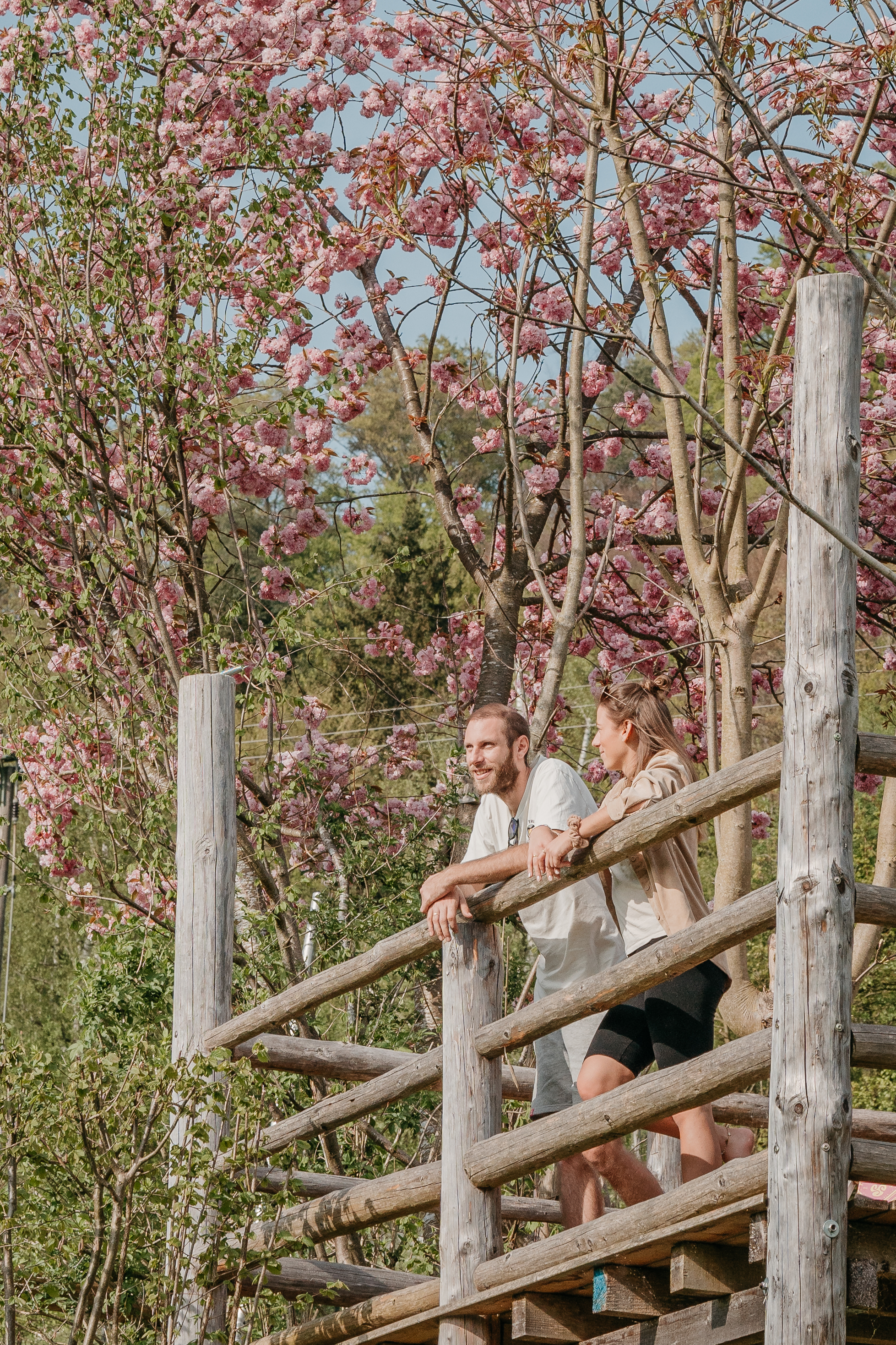 Campingplatz: Die Aussicht genießen - Campingplatz am Marktler Badesee - Campingplatz am Marktler Badesee