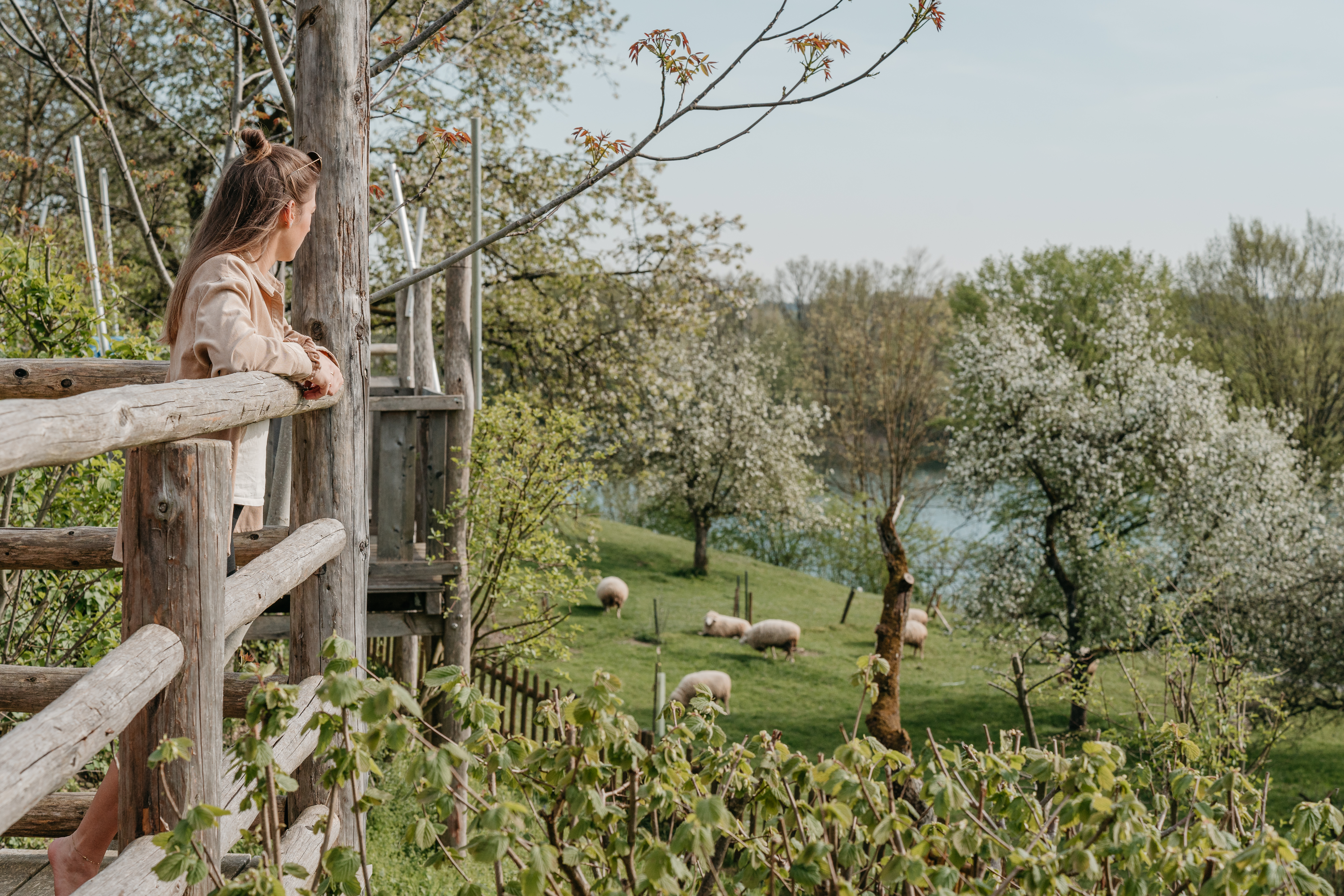 Campingplatz: Aussicht über den Garten zum See - Campingplatz am Marktler Badesee