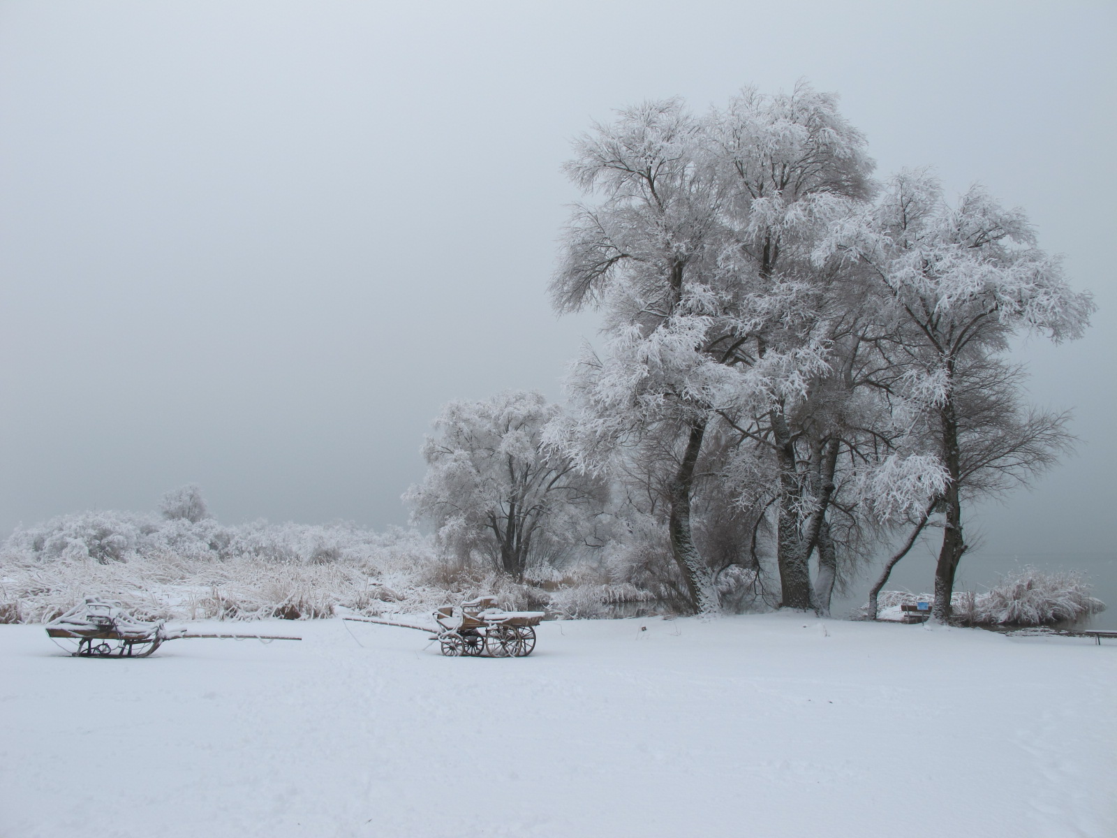 Campingplatz: Campingplatz Seehäusl