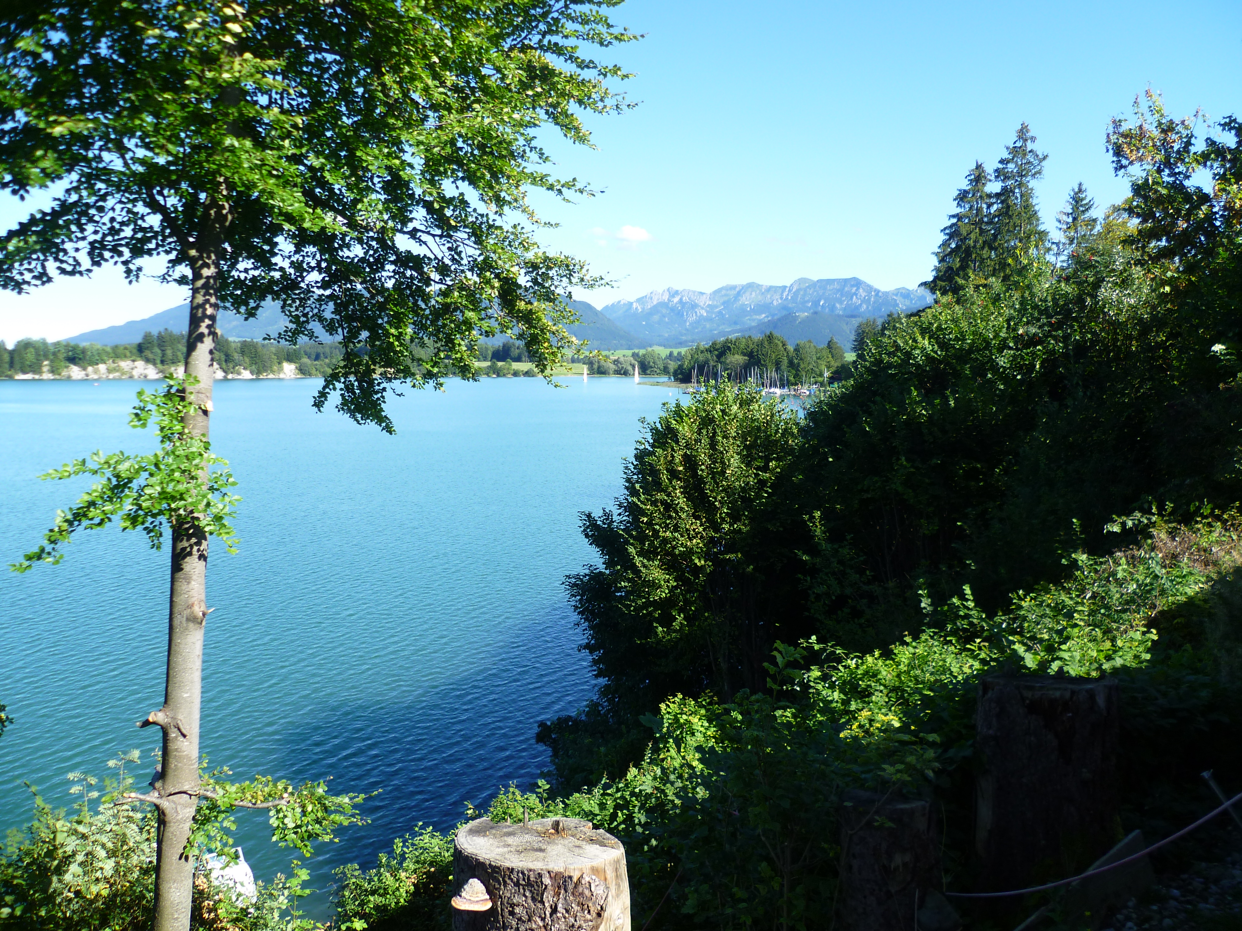 Campingplatz: Campingplatz Seewang