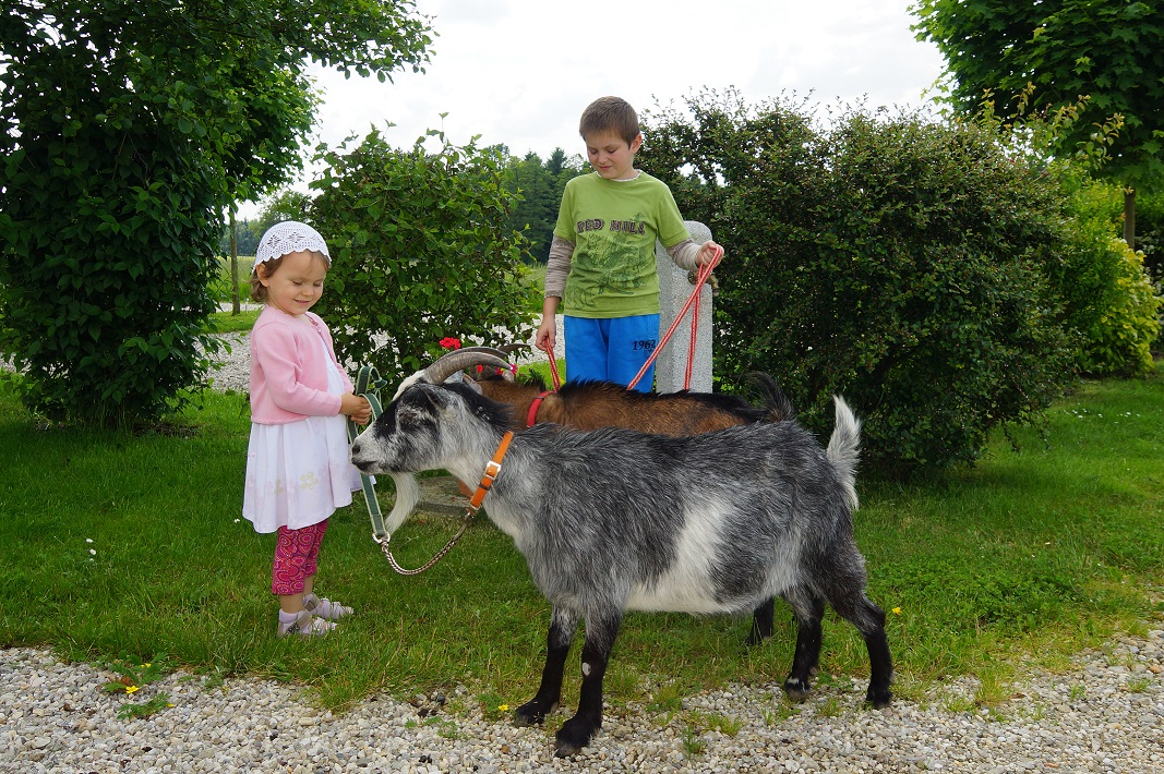 Campingplatz: Campingoase Rottal