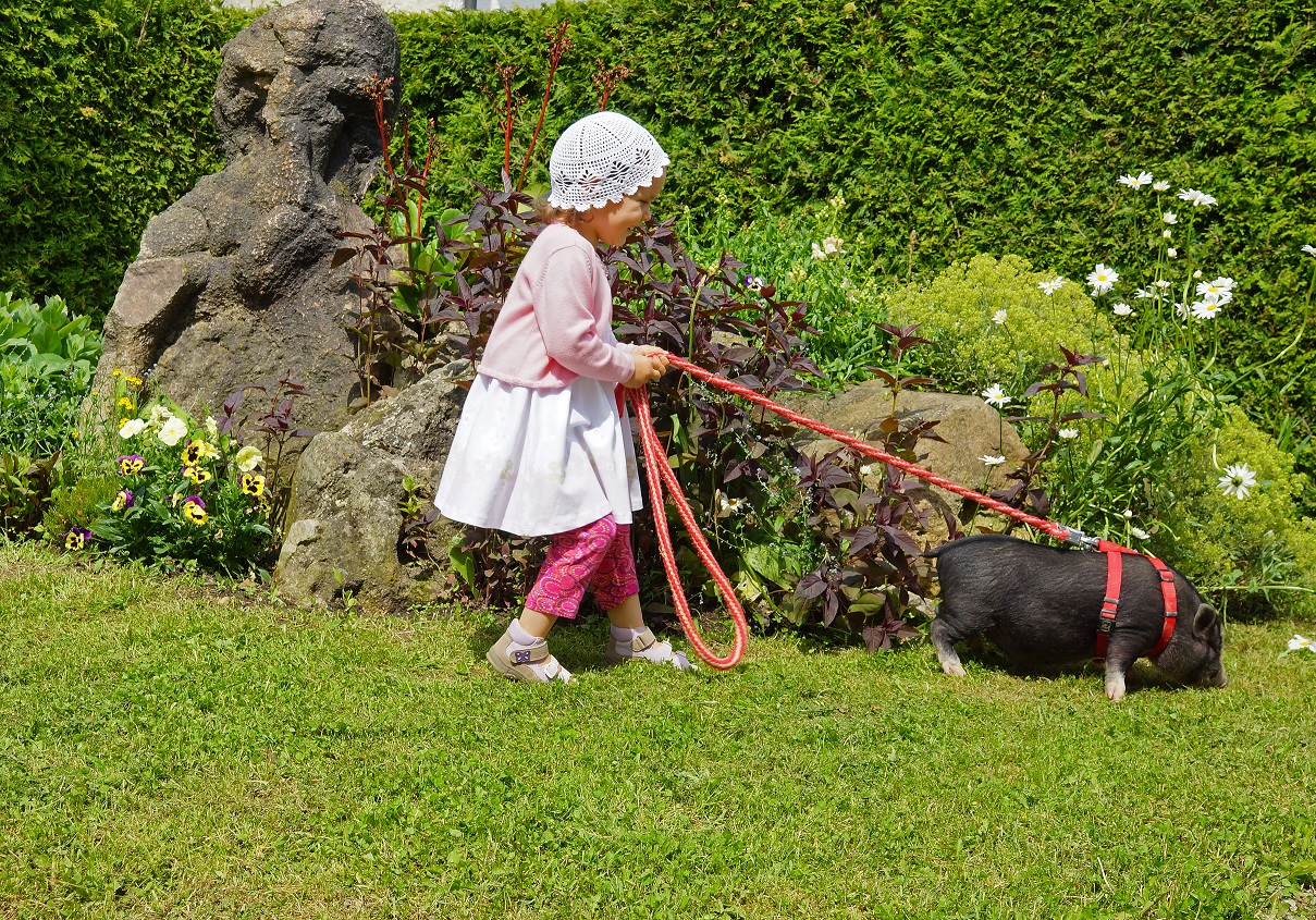 Campingplatz: Campingoase Rottal