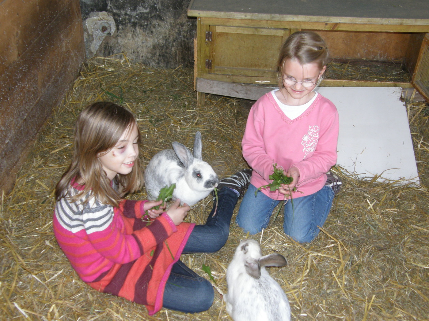 Campingplatz: Schmidts-Ferienhof