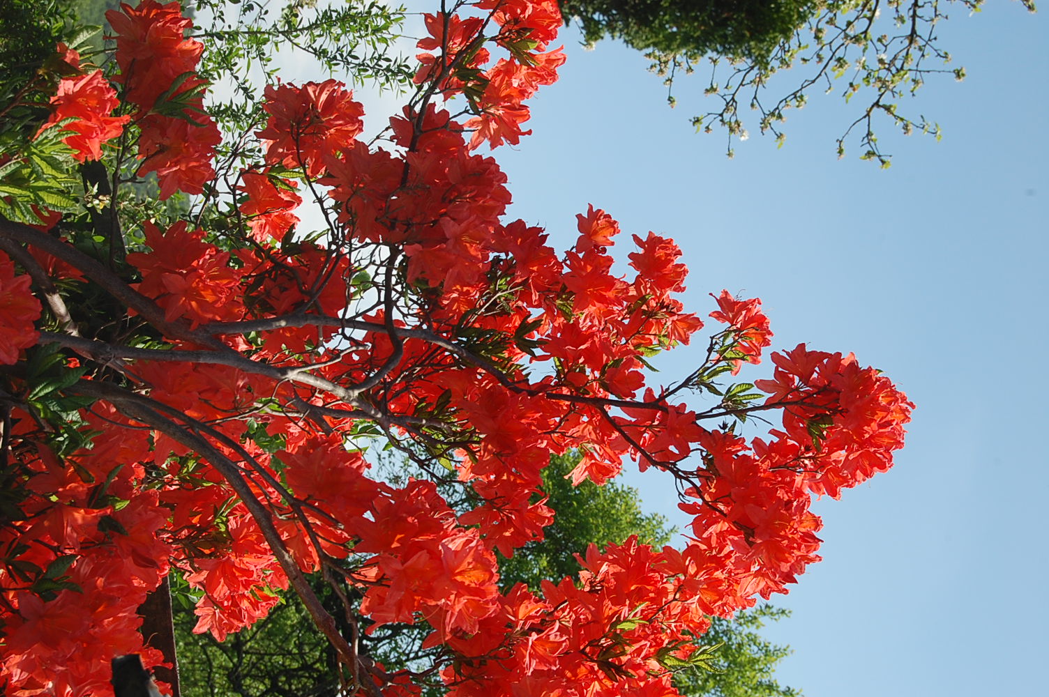 Campingplatz: Campingplatz Heiter