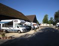 Campingplatz: Camping Gutshof Donauried