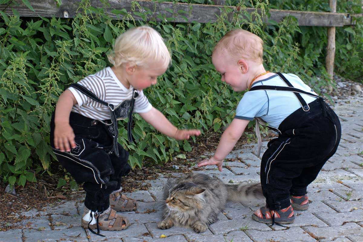 Campingplätze - Waschmaschinen - Betzigau - Ferienhof &  Baumhaushotel Allgäu GbR