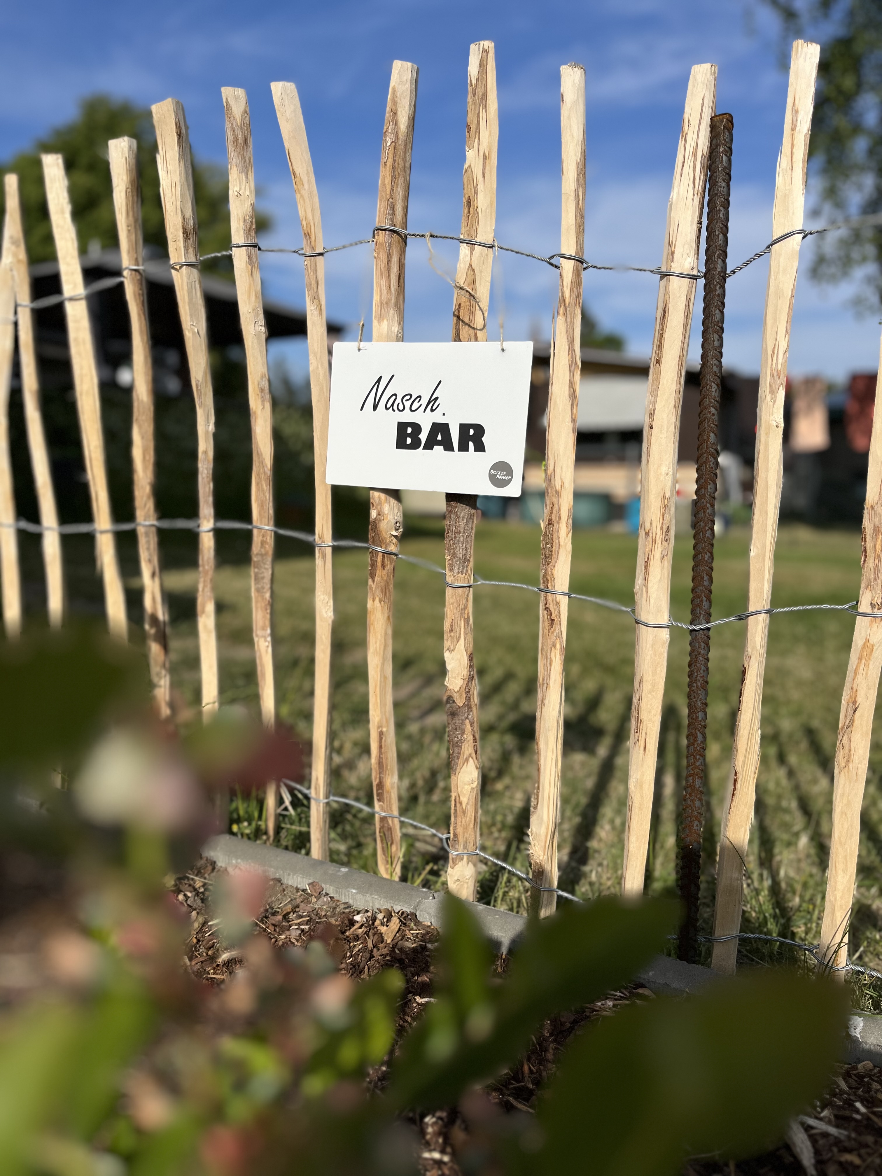 Campingplatz: Naschgarten mit allerlei Beeren zum Selberpflücken - Hammersee Camping