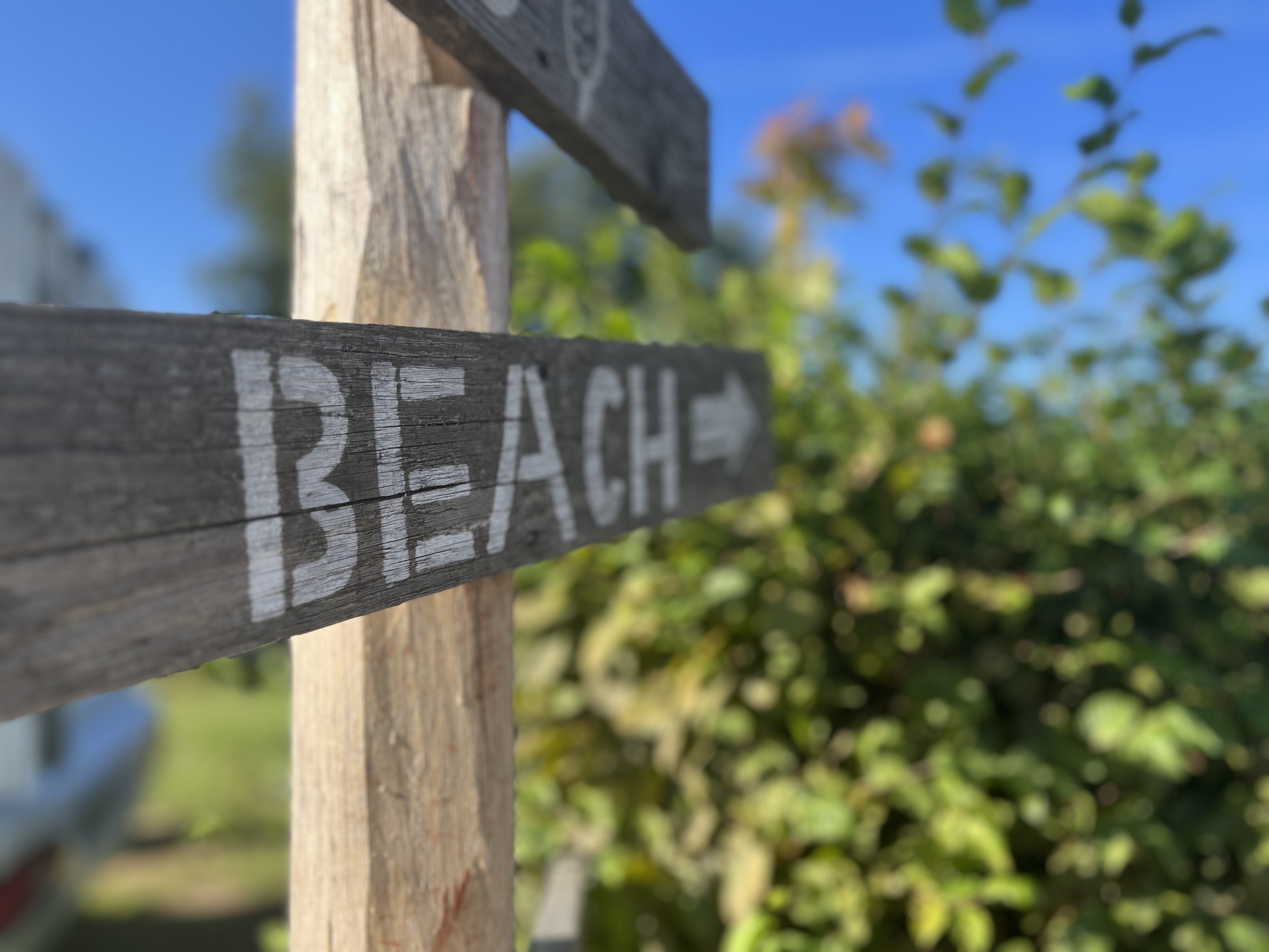 Campingplatz: Campingplatz mit angrenzenden Strand - Hammersee Camping